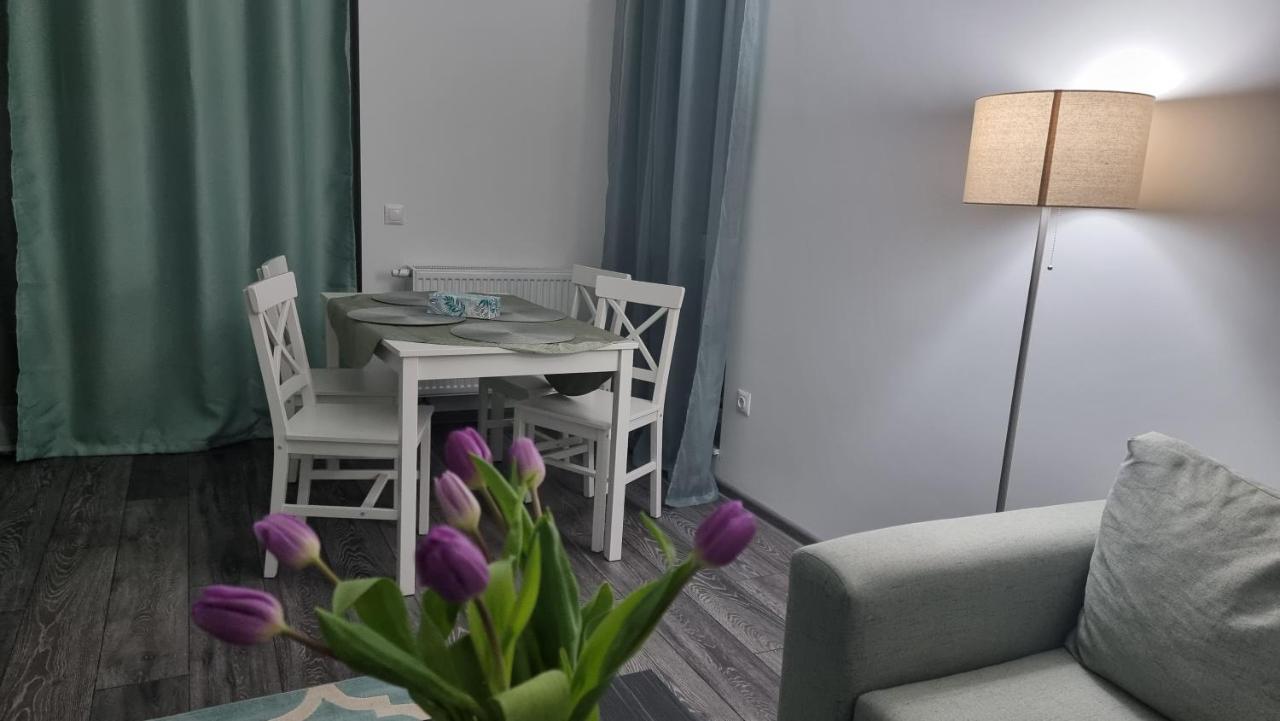 Swan Brasov Apartment Bagian luar foto